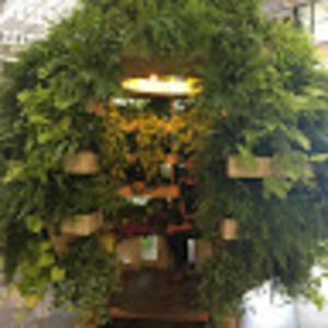 Meet your Posher, Suet fung